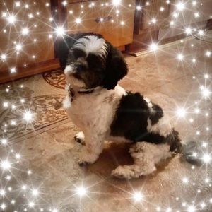 Meet your Posher, Cathy